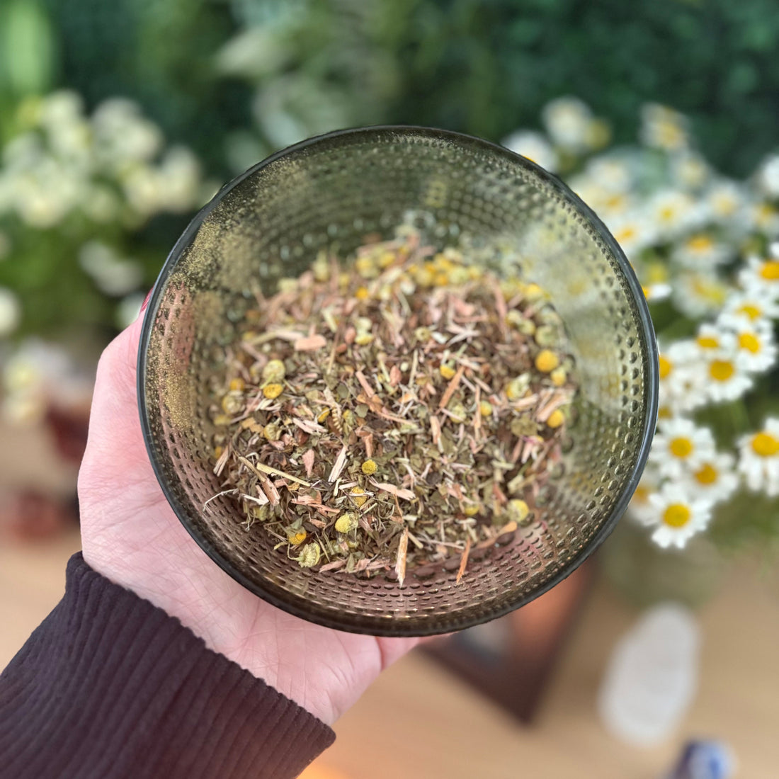 Natural Remedies to Keep You Healthy