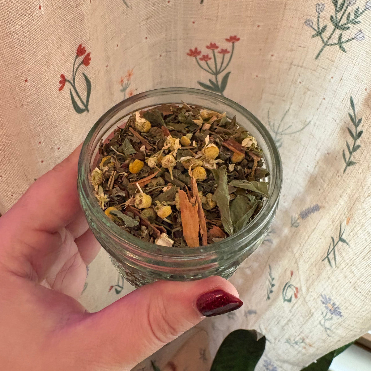 A hand with dark red nail polish holds a small clear glass jar filled with loose herbal tea blend in front of a beige floral curtain, with a green plant visible at the bottom.