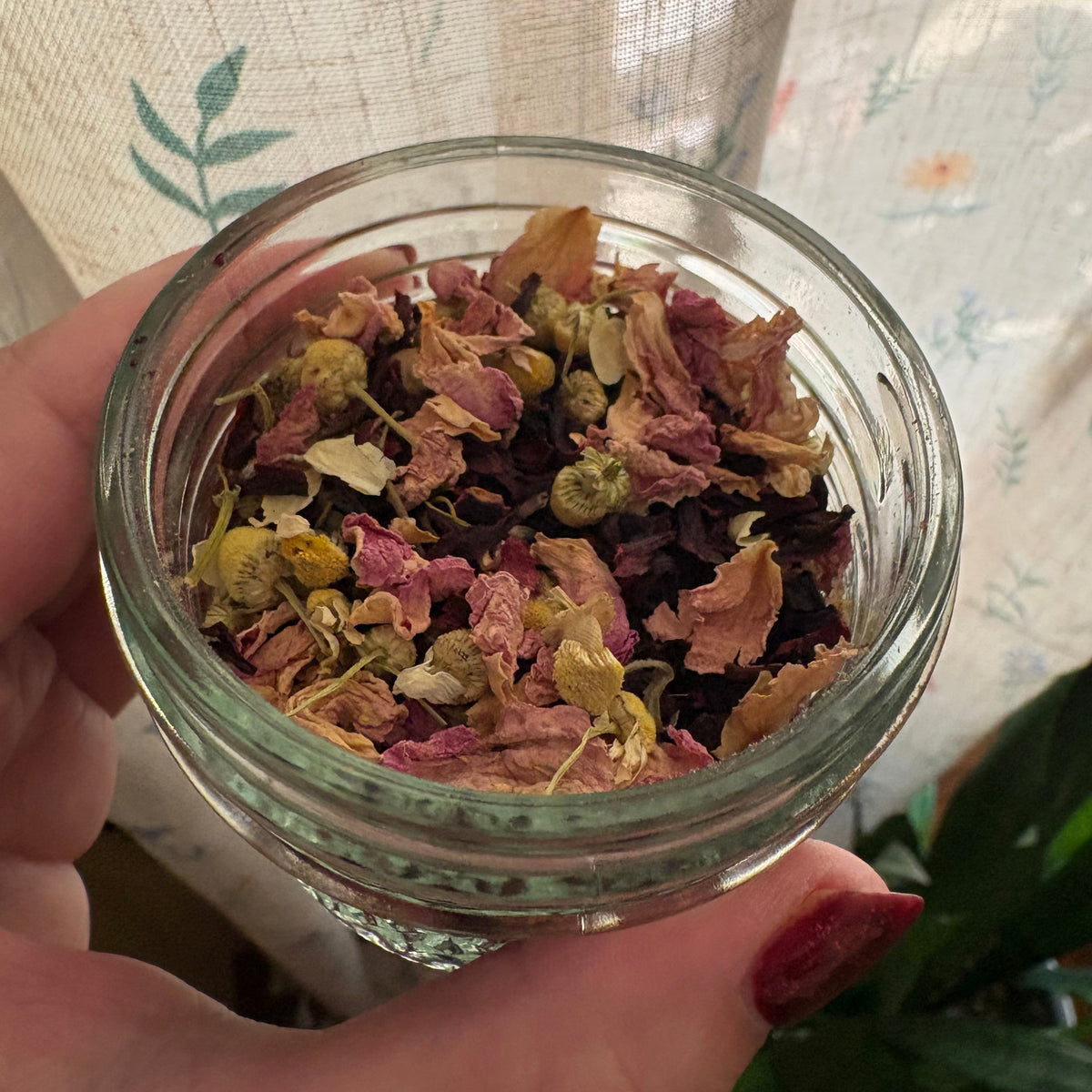 A hand holding a small clear glass jar filled with dried flower petals and botanical pieces, photographed indoors in front of a patterned curtain and plant leaves.