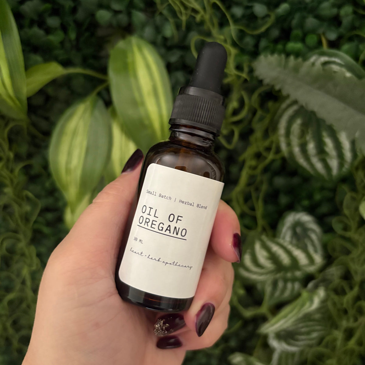 Oil of Oregano Herbal Blend Dropper Bottle Hand-Blended