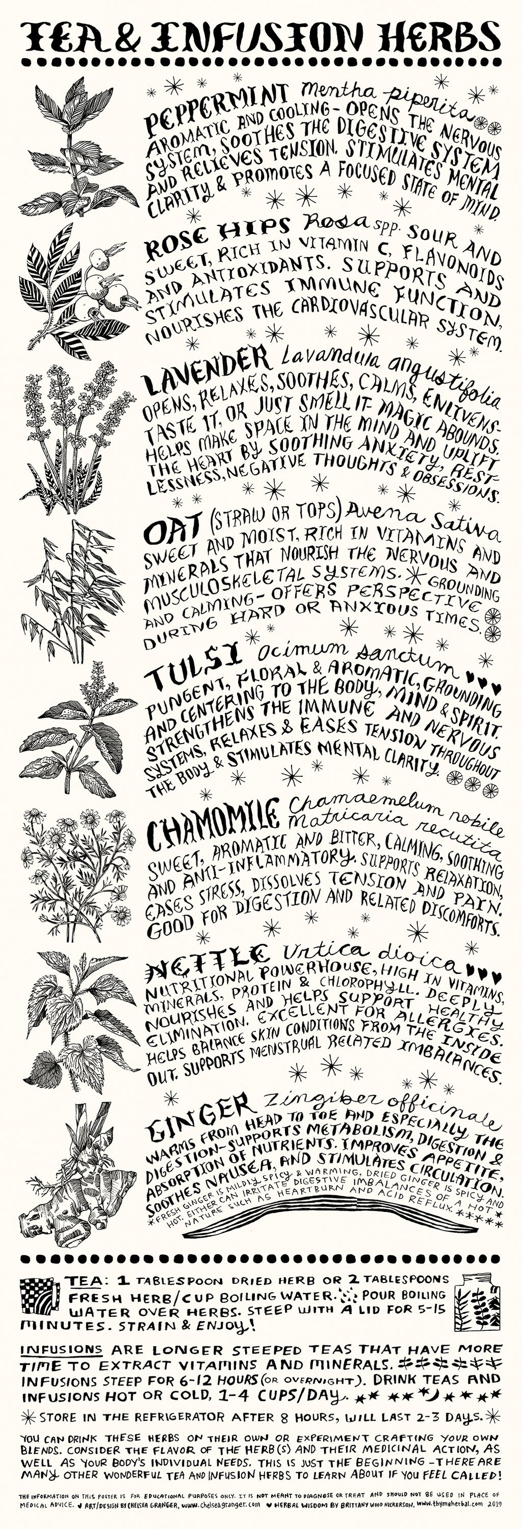 Tea and Herbal Infusion poster | Beginner Herbalism Guide