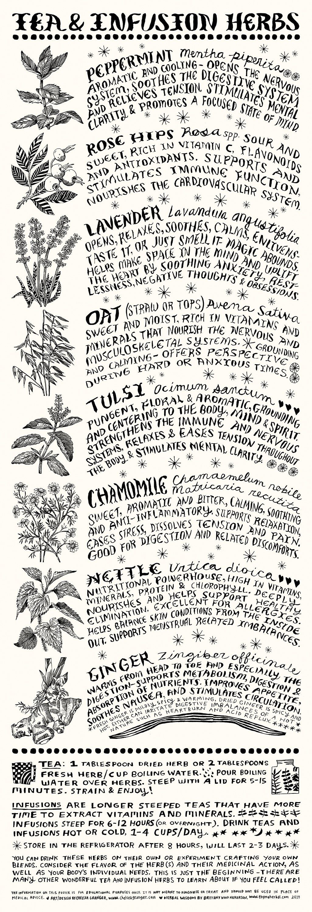 Tea and Herbal Infusion poster | Beginner Herbalism Guide